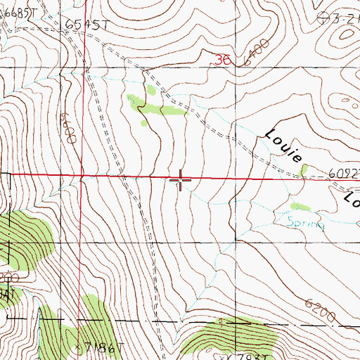 Topographic Map of Louie Lowe Basin, MT