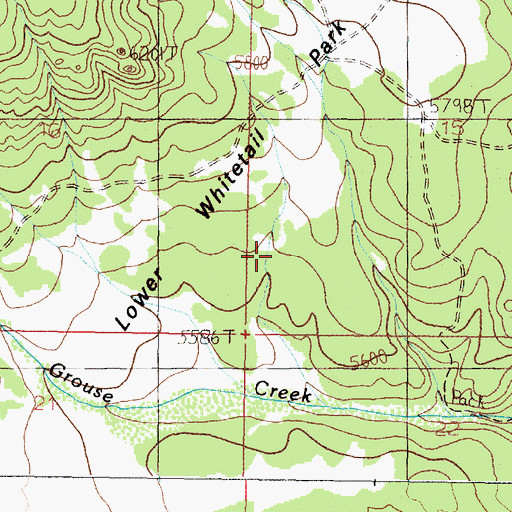 Topographic Map of Lower Whitetail Park, MT
