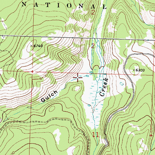 Topographic Map of McDougal Gulch, MT