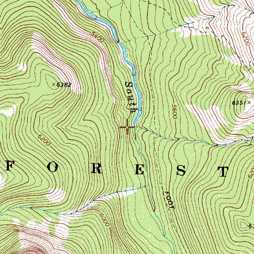 Topographic Map of Molly Creek, MT