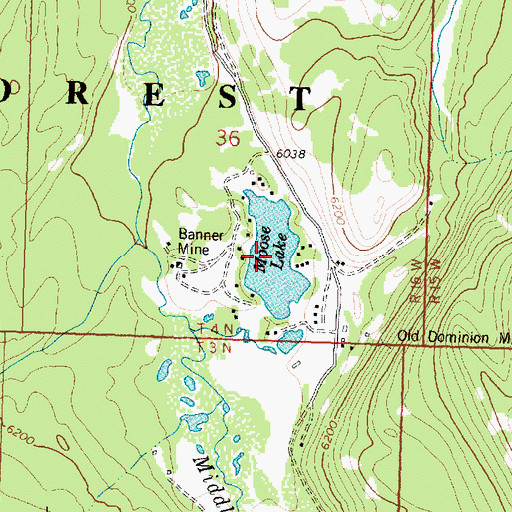 Topographic Map of Moose Lake, MT