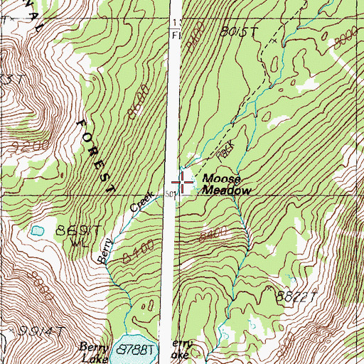 Topographic Map of Moose Meadow, MT