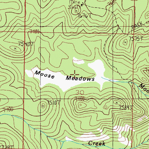 Topographic Map of Moose Meadows, MT