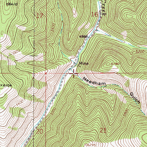 Topographic Map of Needham Gulch, MT