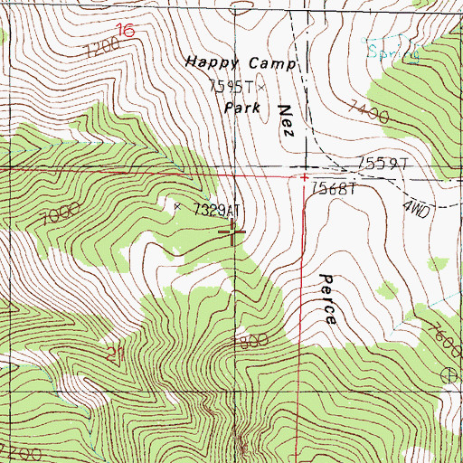 Topographic Map of Nez Perce Ridge, MT