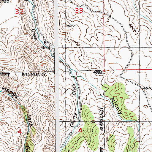 Topographic Map of Nicely Gulch, MT