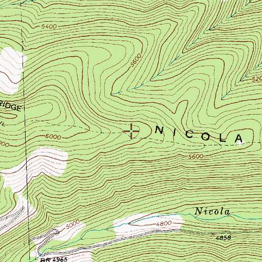 Topographic Map of Nicola Ridge, MT