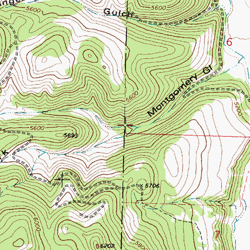 Topographic Map of North Fork Montgomery Gulch, MT