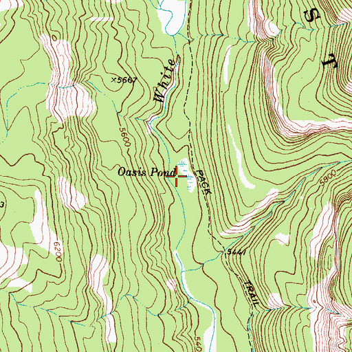 Topographic Map of Oasis Pond, MT