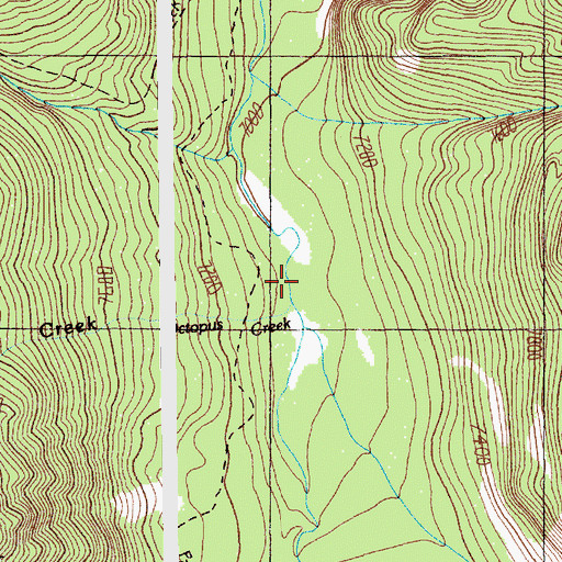 Topographic Map of Octopus Creek, MT