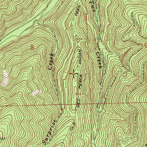 Topographic Map of Old Nez Perce Indian Trail, MT