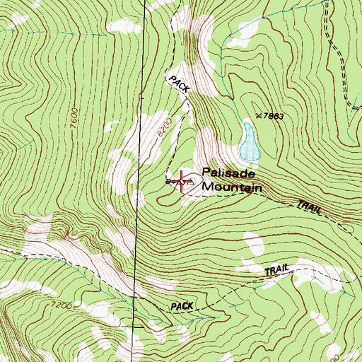 Topographic Map of Palisade Mountain, MT
