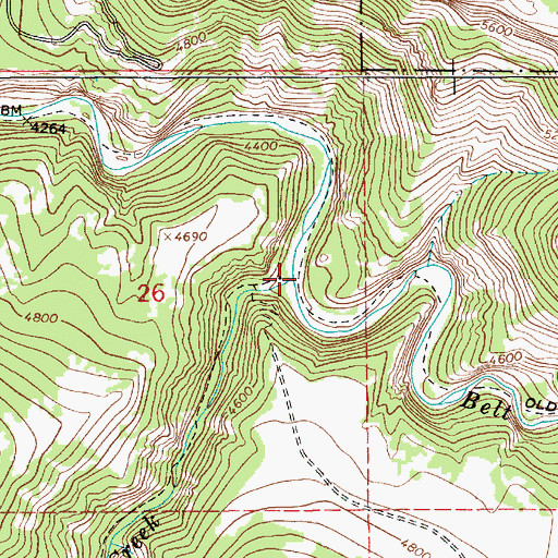 Topographic Map of Pilgrim Creek, MT