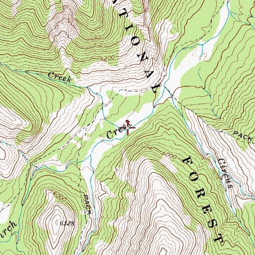 Topographic Map of Pinto Creek, MT