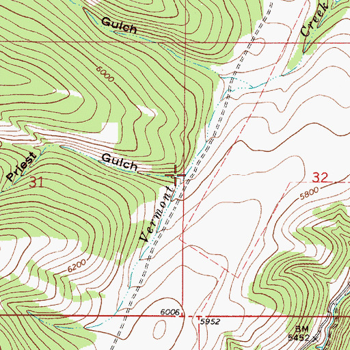 Topographic Map of Priest Gulch, MT
