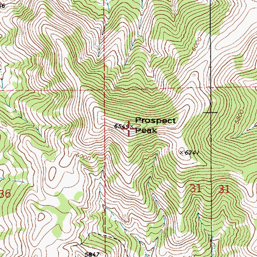 Topographic Map of Prospect Peak, MT
