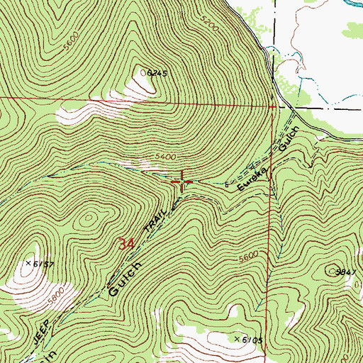 Topographic Map of Quartz Gulch, MT