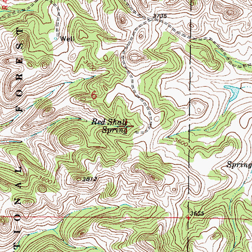 Topographic Map of Red Shale Spring, MT