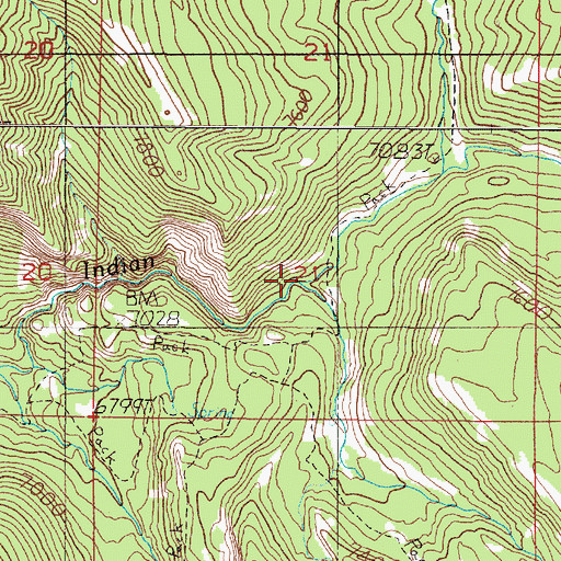 Topographic Map of Shedhorn Creek, MT