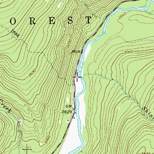 Topographic Map of Shine Creek, MT