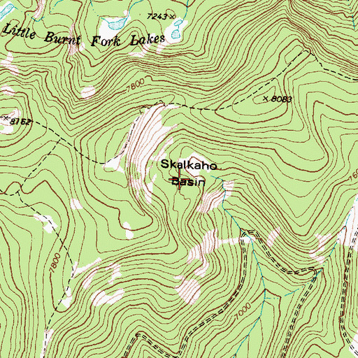 Topographic Map of Skalkaho Basin, MT