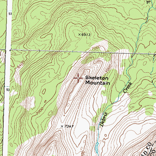 Topographic Map of Skeleton Mountain, MT