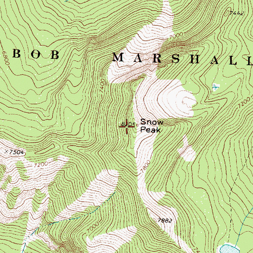 Topographic Map of Snow Peak, MT