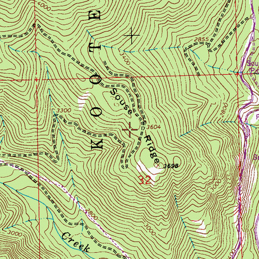 Topographic Map of Souse Ridge, MT