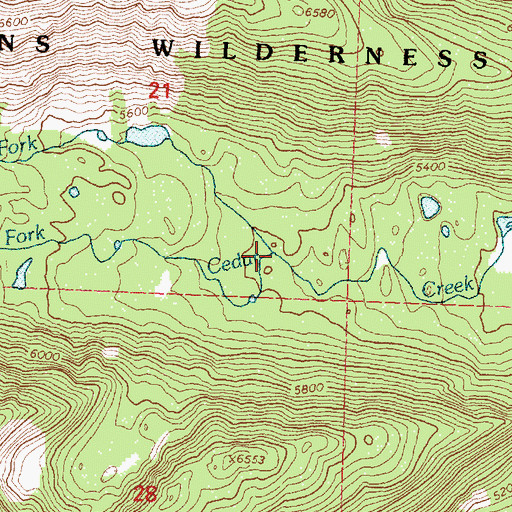 Topographic Map of South Fork Cedar Creek, MT