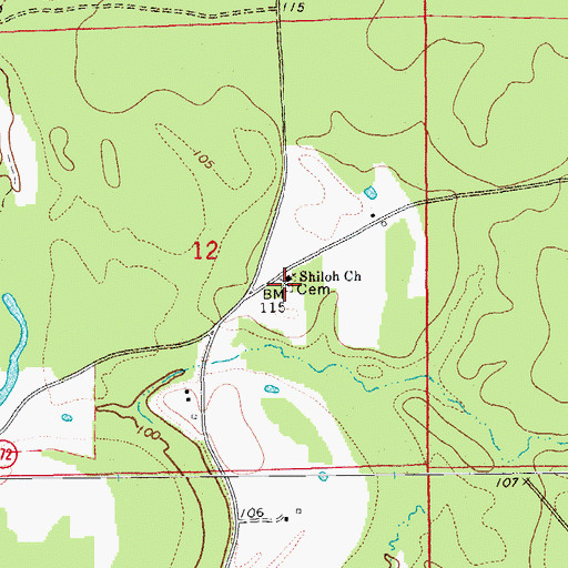 Topographic Map of Shiloh Cemetery, AR