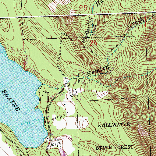 Topographic Map of South Fork Hemler Creek, MT