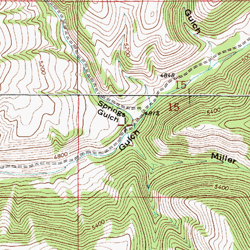 Topographic Map of Springs Gulch, MT