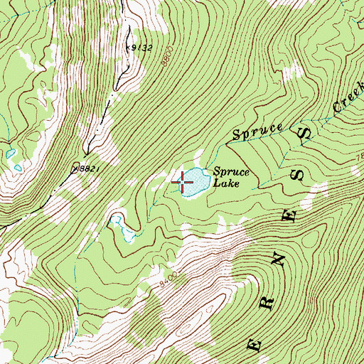 Topographic Map of Spruce Lake, MT