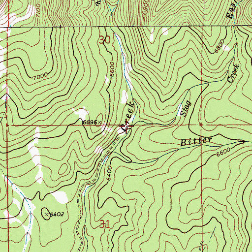 Topographic Map of Stag Creek, MT