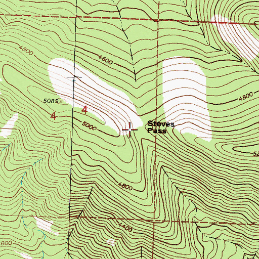 Topographic Map of Steves Pass, MT