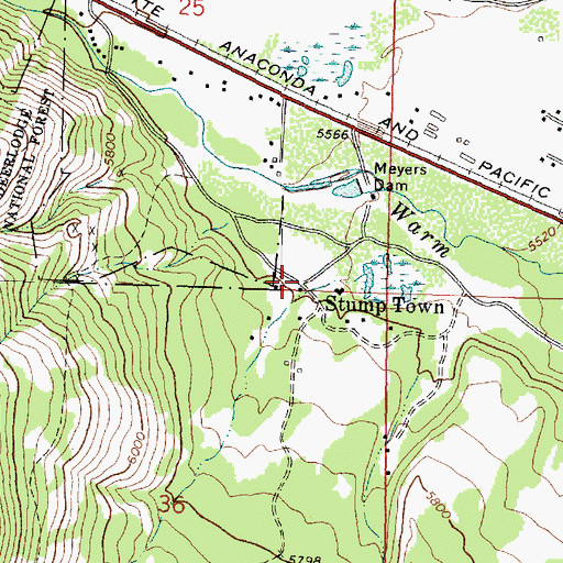 Topographic Map of Stump Town, MT