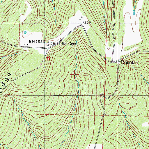 Topographic Map of Ozark National Forest, AR