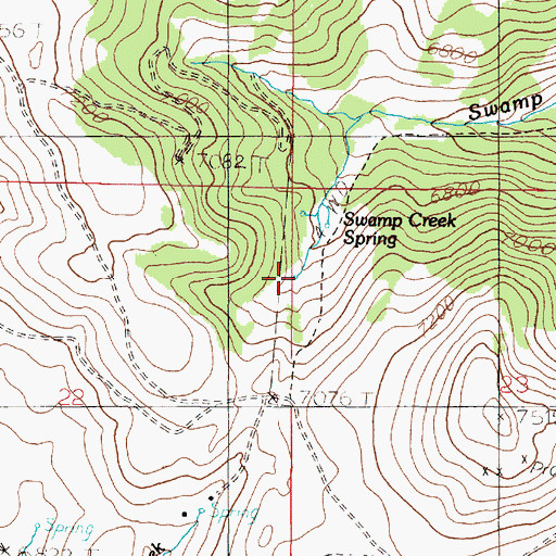 Topographic Map of Swamp Creek Spring, MT