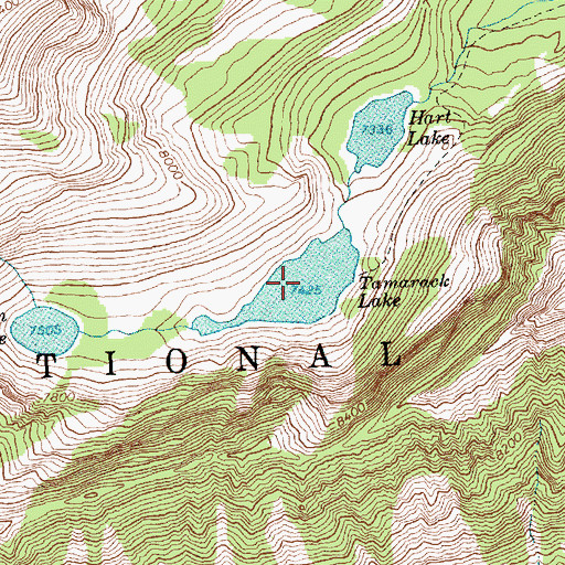 Topographic Map of Tamarack Lake, MT