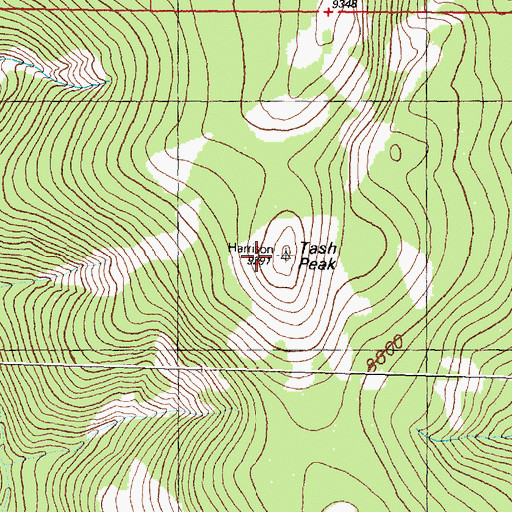 Topographic Map of Tash Peak, MT