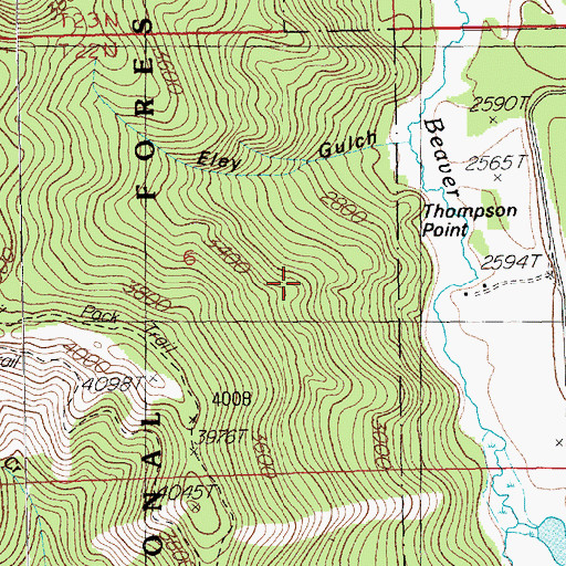 Topographic Map of Thompson Point, MT