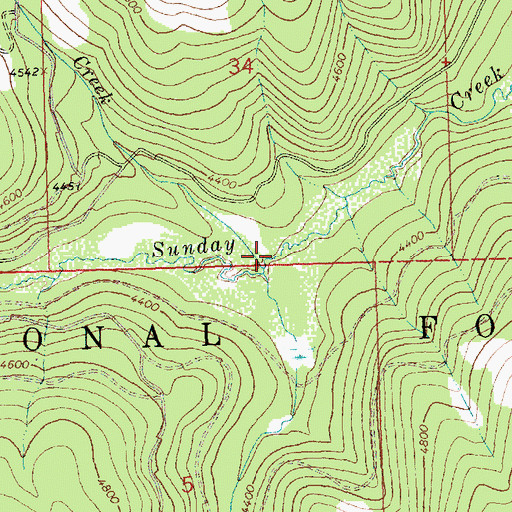 Topographic Map of Tom Creek, MT