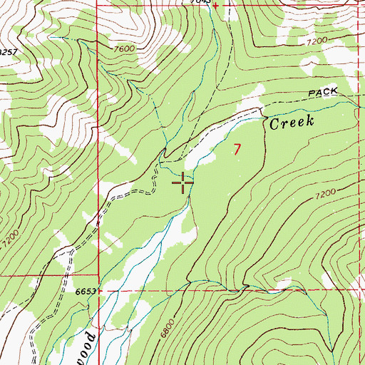 Topographic Map of Trespass Creek, MT