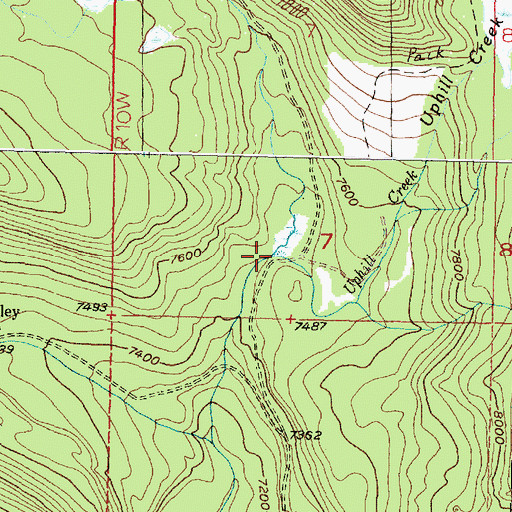 Topographic Map of Uphill Creek, MT