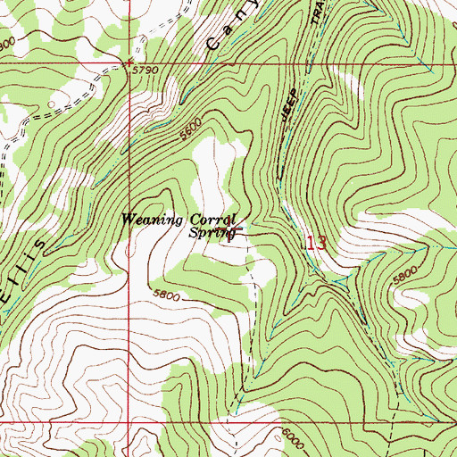 Topographic Map of Weaning Corral Spring, MT
