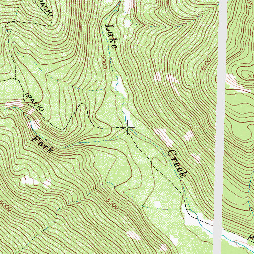 Topographic Map of West Fork Lake Creek, MT