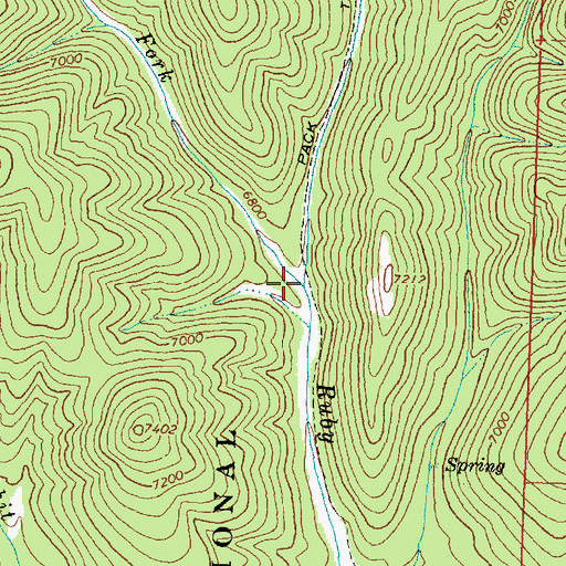 Topographic Map of West Fork Ruby Creek, MT