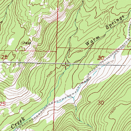 Topographic Map of West Fork Warm Springs Creek, MT