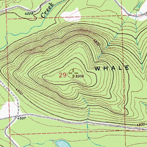 Topographic Map of Whale Buttes, MT