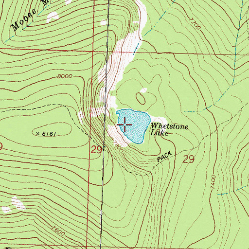 Topographic Map of Whetstone Lake, MT